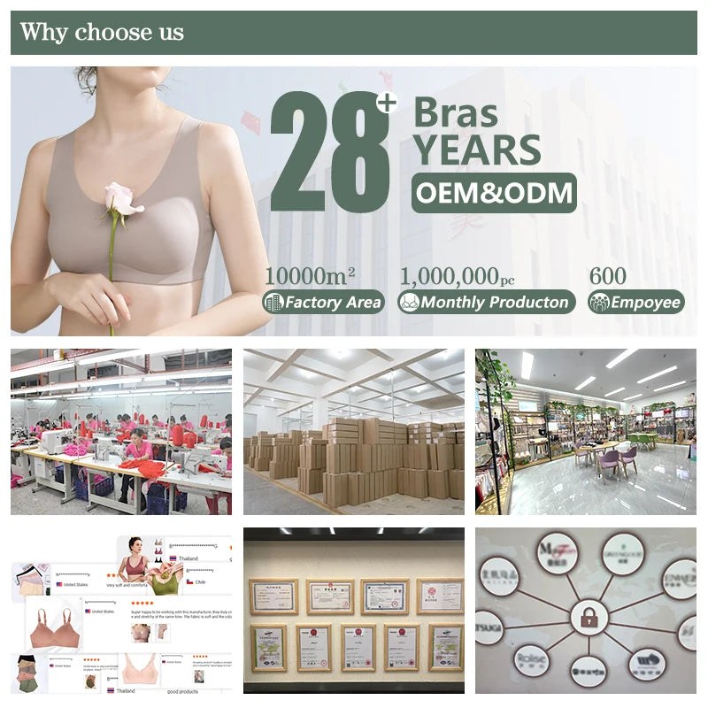 Seamless Widen the Shoulder Straps Underwear Bra Women Breathable Padded Plain Dyed Push up Bra